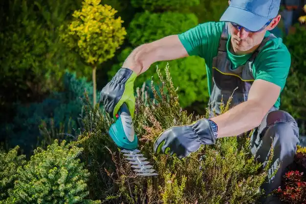 landscaping services Red Oaks Mill